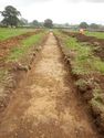Thumbnail of Trench shot of SSA08