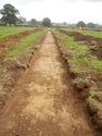 Thumbnail of Trench shot of SSA08