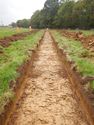 Thumbnail of Trench shot of SSA08