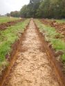 Thumbnail of Trench shot of SSA08