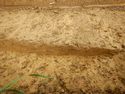 Thumbnail of S – facing section of SSA [14003] CLOSE UP