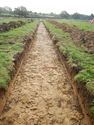 Thumbnail of Trench shot of SSA09