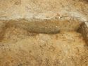 Thumbnail of S – facing section of SSA [10003] + [10005]