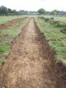 Thumbnail of Trench shot of SSA10