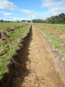 Thumbnail of Trench shot of SSA10