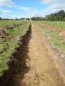 Thumbnail of Trench shot of SSA10
