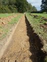 Thumbnail of Trench shot of SSA11