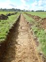 Thumbnail of Trench shot of SSA11