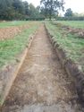 Thumbnail of Trench shot of SSA12