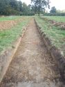 Thumbnail of Trench shot of SSA12