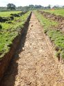 Thumbnail of Trench shot of SSA13