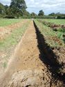Thumbnail of Trench shot of SSA13
