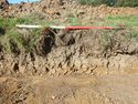 Thumbnail of SE – facing representative section of SSA13