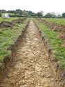 Thumbnail of Trench shot of SSB03