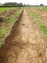 Thumbnail of Trench shot of SSB01