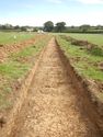Thumbnail of Trench shot of SSB01