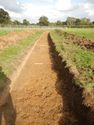 Thumbnail of Trench shot of SSB06