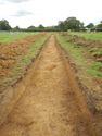 Thumbnail of Trench shot of SSB07