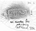 Thumbnail of Rubbing of CATTO die 1 from Castleford 75K