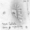 Thumbnail of Rubbing of  DOCILIS 3 die 5 from Carlisle 32K r.facing