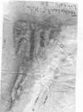 Thumbnail of Rubbing of INC86 die 1 from Lincoln Technical College Kiln 8K