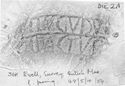 Thumbnail of Rubbing of Q. RVTILIVS RIPANVS die 2A from Ewell, Surrey 36K