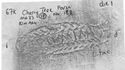 Thumbnail of Rubbing of SEPTVMINVS die 1 from Cherry Tree Farm 67K