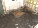 Thumbnail of Black silt under flagstone floor