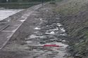 Thumbnail of Rails and stone surface looking southeast