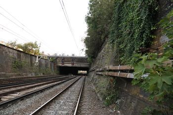 Original fabric apparent beneath vegetation at bay no.1 of the western cutting wall, south of the Eastern Tunnel, viewed from the southeast. 