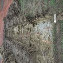 Thumbnail of View E Tr.5 Trench shot 1x1m 1x2m