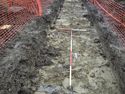 Thumbnail of View S Tr.17 Trench shot 1x1m 1x2m