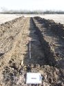 Thumbnail of View to E, Tr 14, Trench shot, 1x1m 1x2m