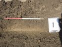 Thumbnail of View to N, Tr 14 Rep Sec 14.1, 1x1m