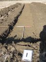 Thumbnail of View to N, Tr 12, Trench shot, 1x1m 1x2m