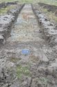 Thumbnail of West facing shot of trench 27 taken at Ladbroke, Warwickshire (2m + 1m scale)