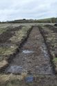 Thumbnail of North facing pre-excavation shot of trench 26 (1m + 2m scale)