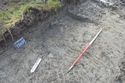 Thumbnail of South-east facing shot of the north and west facing sections of ditch [2817] (1m scale)