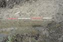 Thumbnail of North-west facing close up of the ditch [2806] (2m scale)