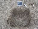 Thumbnail of North-east facing shot of test pit 16 in trench 16