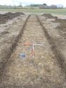 Thumbnail of North-east facing shot of trench 2 (1m x 1m scale)