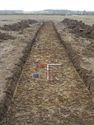 Thumbnail of South-east facing shot of trench 4 (1m x 1m scale)