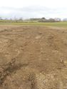 Thumbnail of North facing shot of backfilling of trench 2