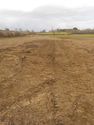 Thumbnail of North facing shot of backfilling of trench 3