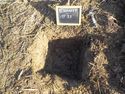 Thumbnail of North facing shot of test pit 37