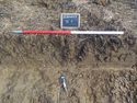 Thumbnail of South facing sample section of trench 7 (1m scale)