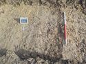 Thumbnail of North facing pre-excavation shot of ditch [705] (1m scale)