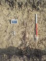 Thumbnail of North facing shot of land drain in trench 7 (1m scale)