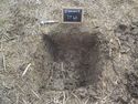 Thumbnail of East facing shot of test pit 40