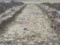 Thumbnail of South facing shot of trench 13 (1m x 1m scale)